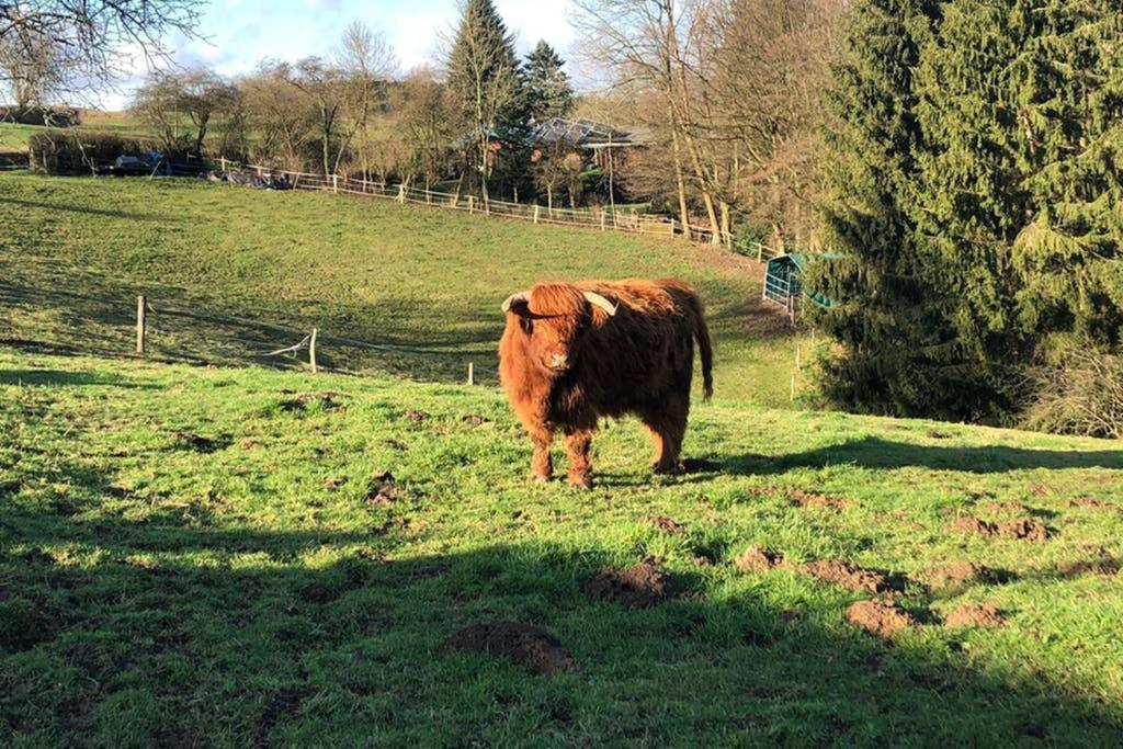Ferienwohnung Und Monteurwohnung Matthies Naehe Koeln 30Km Kürten Exterior foto